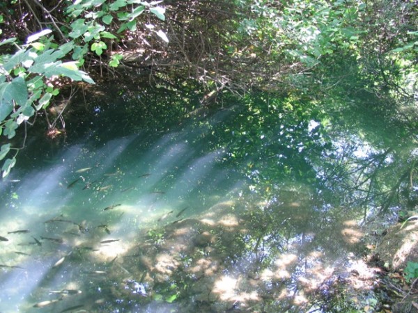 Nrodn park Krka - tka