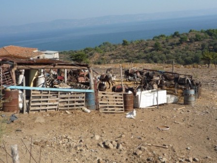 21 osl farma