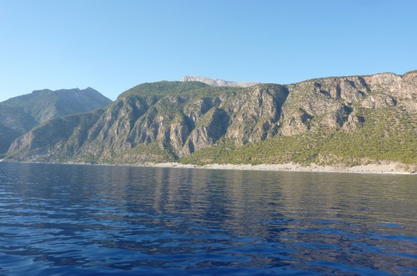 P1000461
