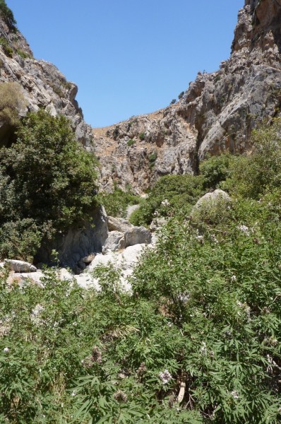 P1000135