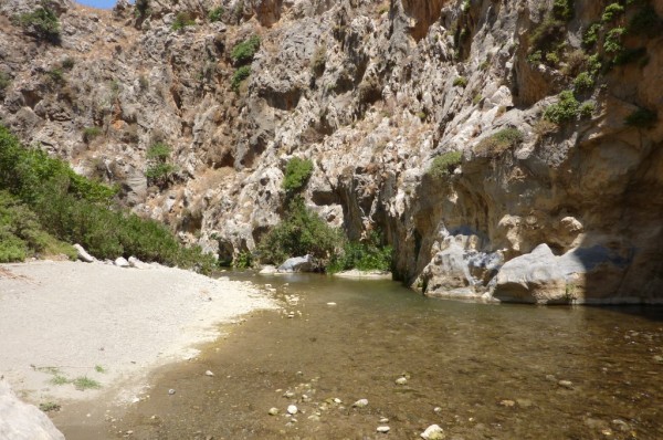 P1000152
