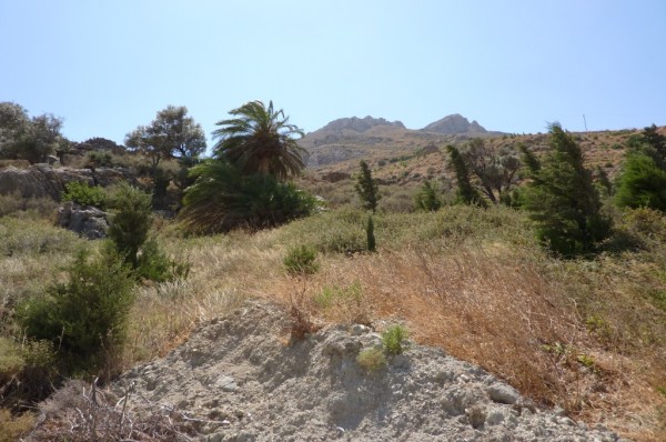 P1000161