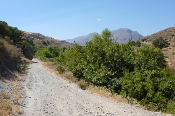 P1000163