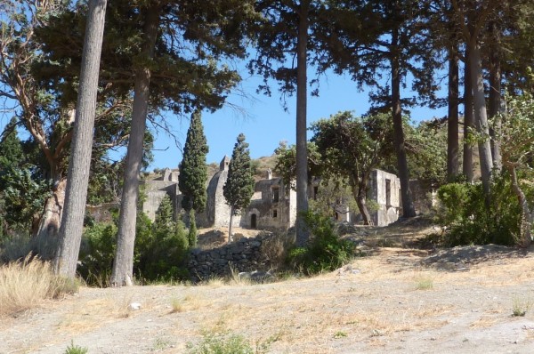 P1000164