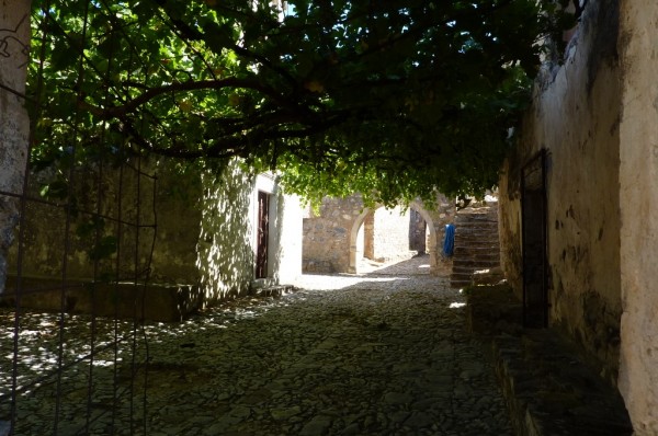 P1000169