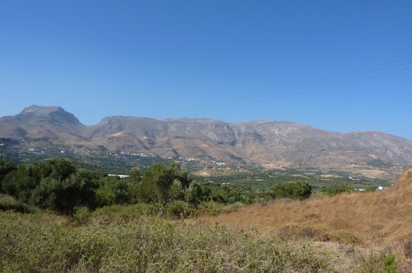 P1000291