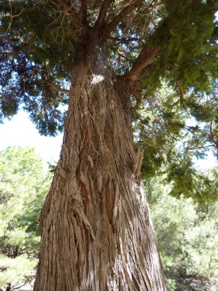P1000350