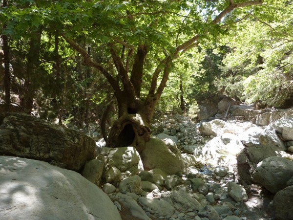 P1000356