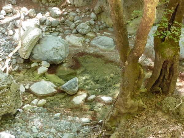 P1000361