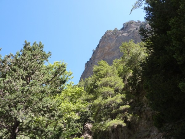 P1000366
