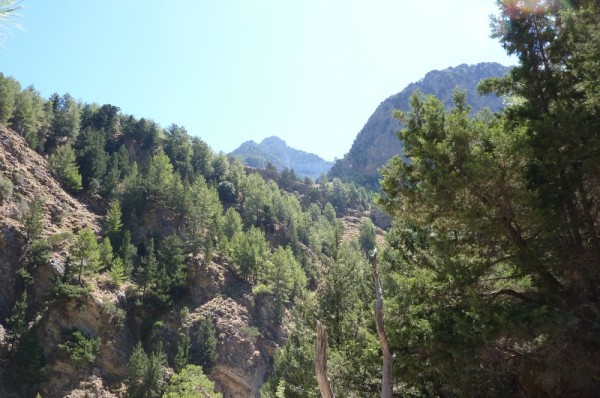 P1000384
