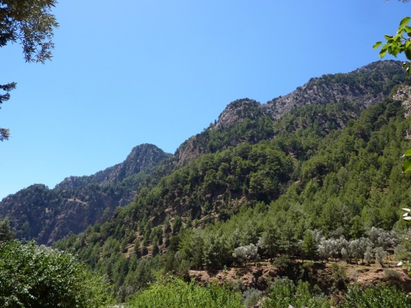 P1000404