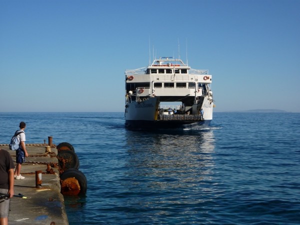 P1000445