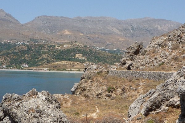 P1000564