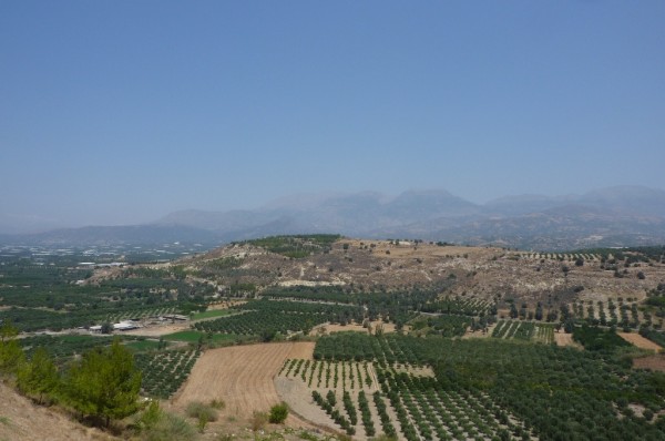 P1000678