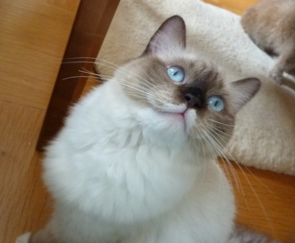 01