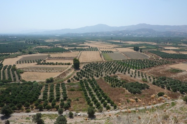 P1000637