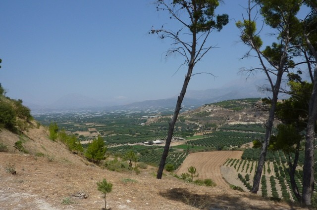 P1000665