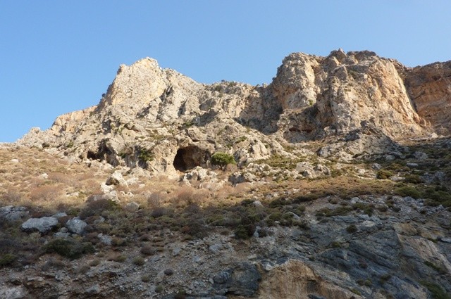 P1000588