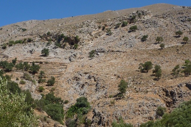 P1000820