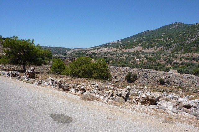 P1000879