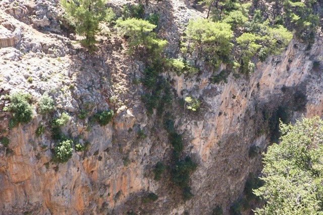 P1000886