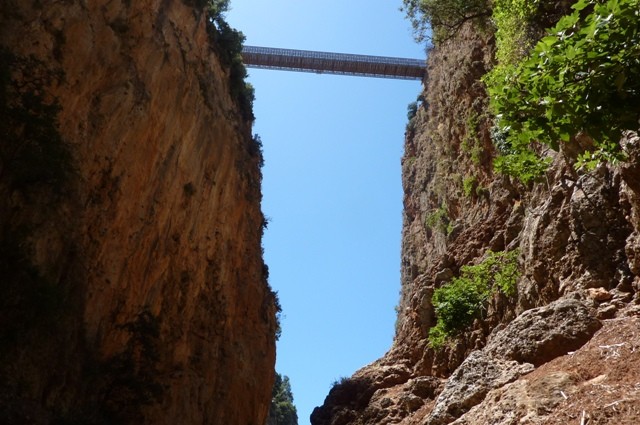P1000939