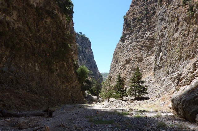 P1000944