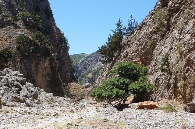 P1000946