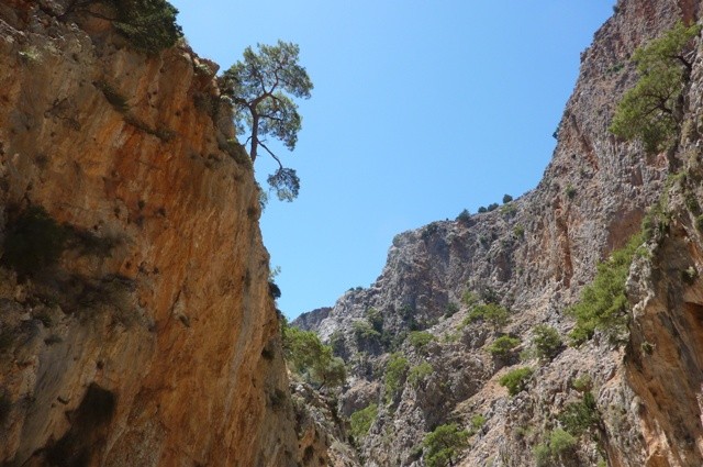 P1000961