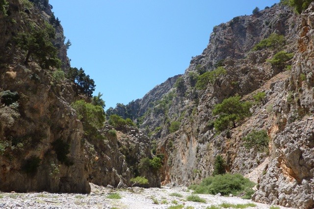 P1000962