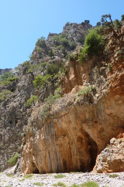 P1000964