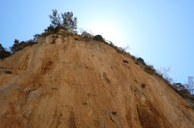 P1000965