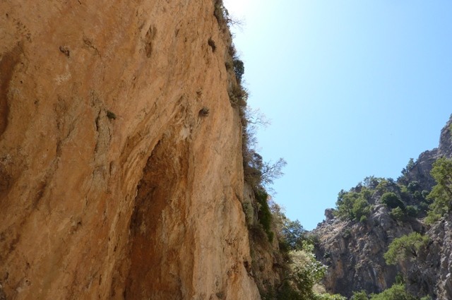 P1000967