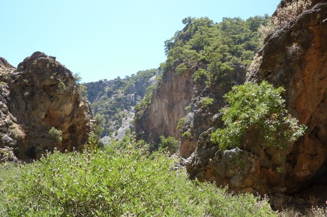P1000974