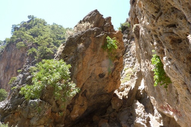 P1000975