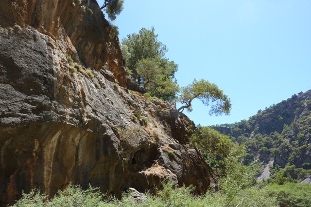 P1000976