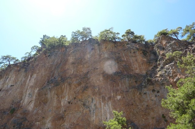 P1000977