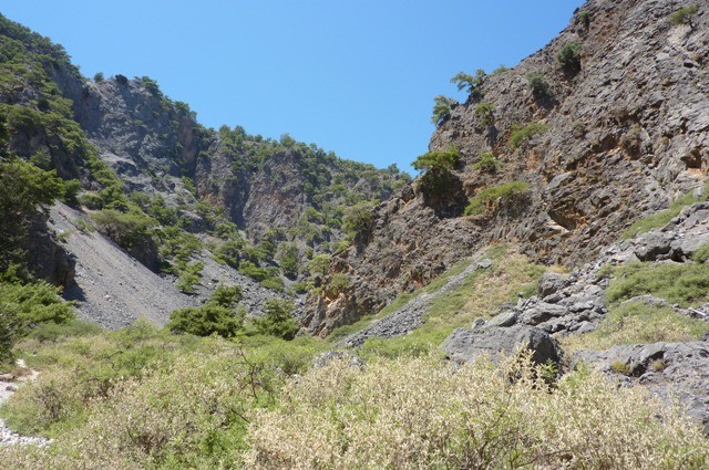 P1000980