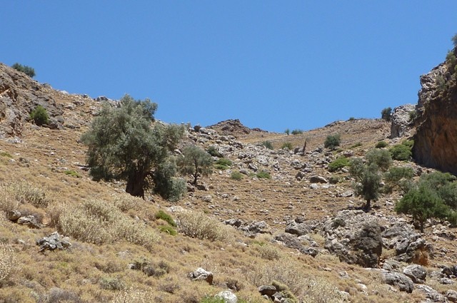 P1000984